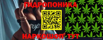 mix Пенза